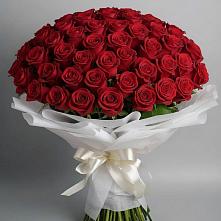 Букет 101 Красная роза Блэк Мэджик #REPLACE_PRED# Киселевске