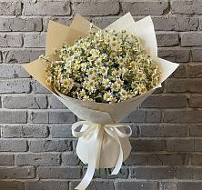 Букет цветов из:  Ромашки #REPLACE_PRED# Киселевске