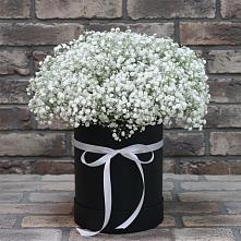 Цветочная композиция из Гипсофила в шляпной коробке #REPLACE_PRED# Киселевске