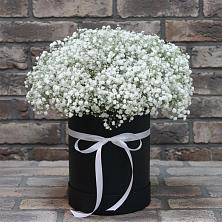 Цветочная композиция из Гипсофила в шляпной коробке в Киселевске