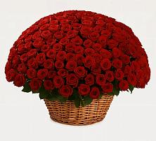 Премиум букет из: Розы в Киселевске