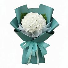 Букет цветов из:  Гортензия в Киселевске